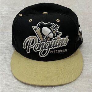 Pittsburgh Penguins Embroidered Snapback Cap